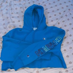 Champion cropped hoodie